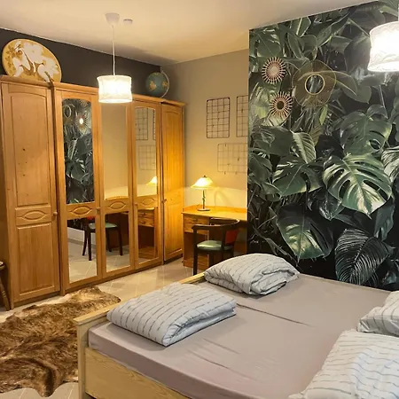 Apartment Muller's Residenz - Self Check In Zwickau